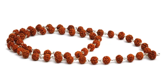 yogistar-mala-kette-54-rudraksha-perlen image 1